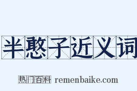 半憨子近义词是什么意思的图片